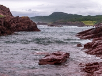 Tickle Cove